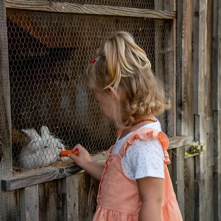 Hotel Almwelt Austria 4*