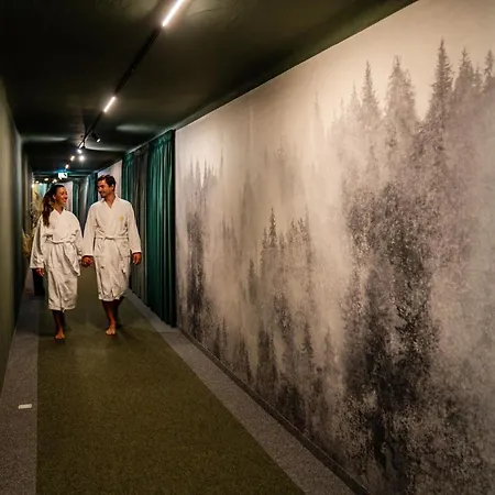 Hotel Almwelt Austria Schladming