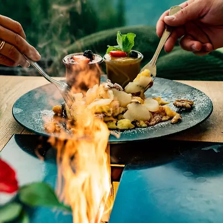 酒店 奥地利阿尔姆威特酒店 斯拉德明