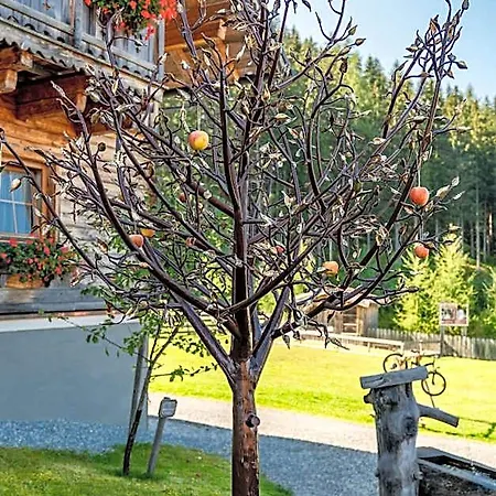 Hotel Almwelt Austria 4*