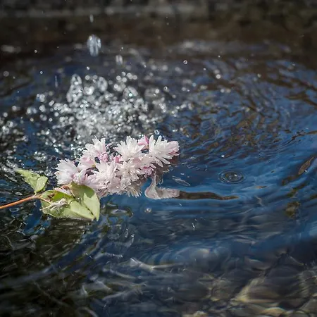奥地利阿尔姆威特酒店 斯拉德明