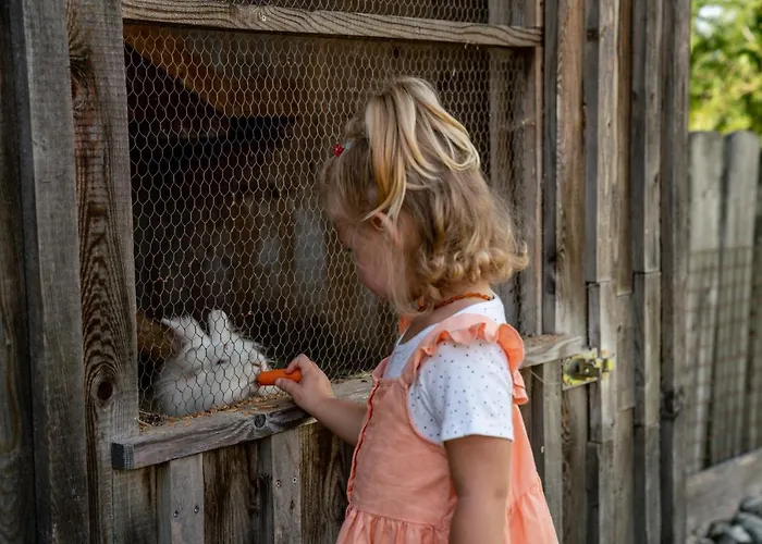 Отель Almwelt Austria 4*