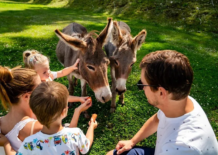 Almwelt Austria Отель