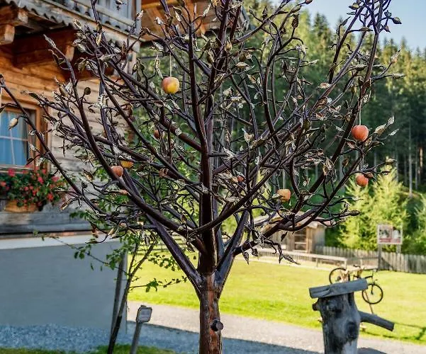 Отель Almwelt Austria Шладминг