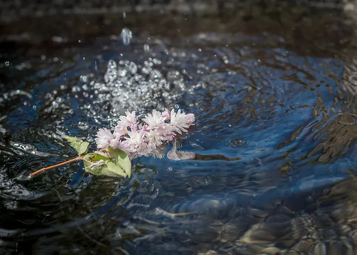 Almwelt Austria Шладминг